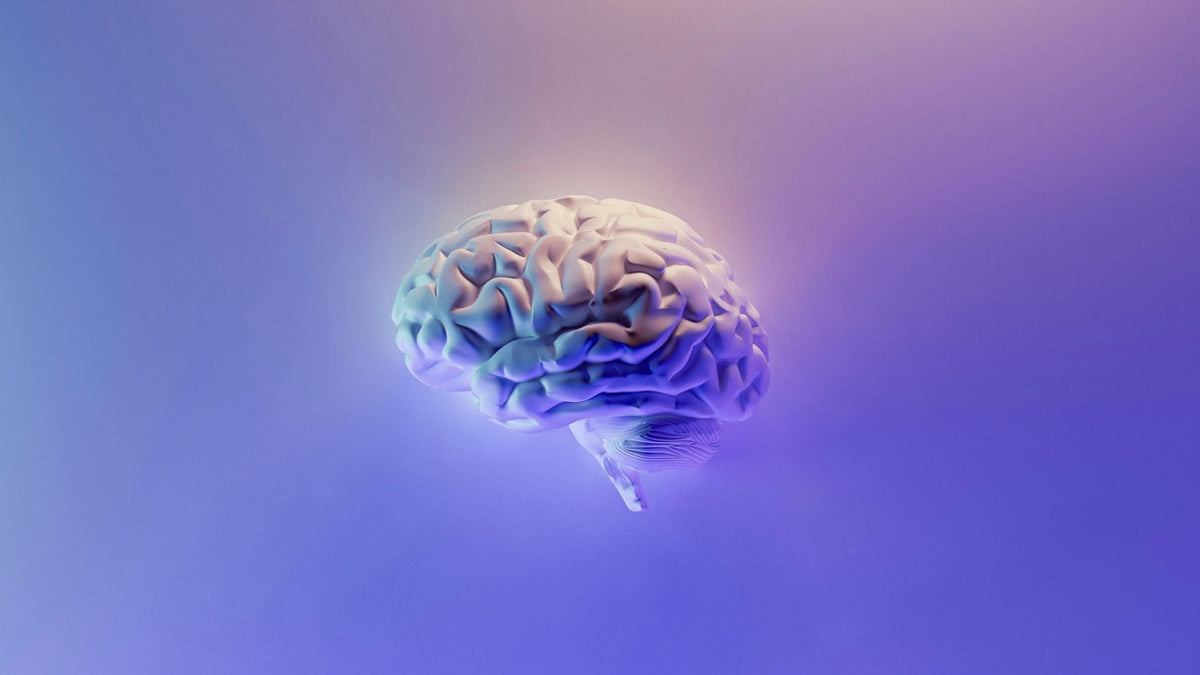 震动节拍器如何提升你的大脑节奏