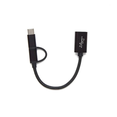 带有 Playtronica 品牌标识的黑色编织 USB-C 转接线