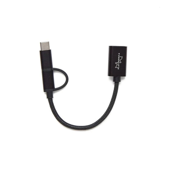 带有 Playtronica 品牌标识的黑色编织 USB-C 转接线